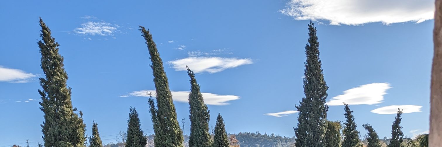 Matteo Gallici banner