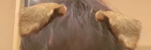 lullabys26's profile banner image
