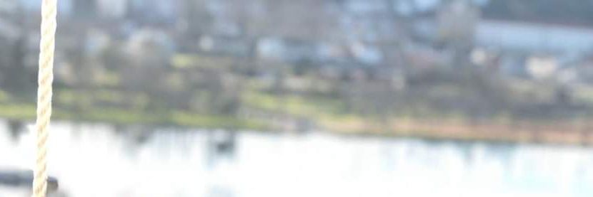 bovmarques's profile banner image