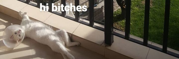 yibitoo's profile banner image