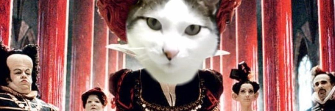 Sam_Granja's profile banner image