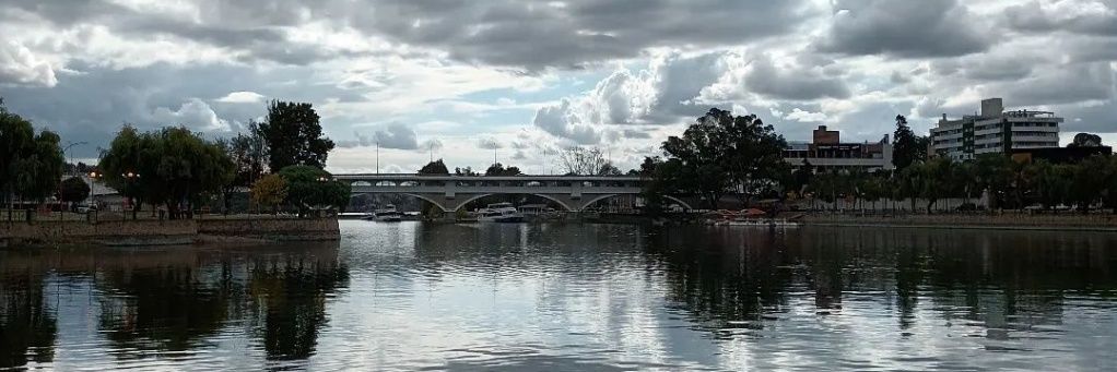 MariFogli's profile banner image