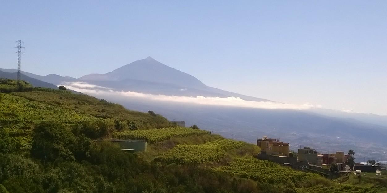 mlabargap's profile banner image