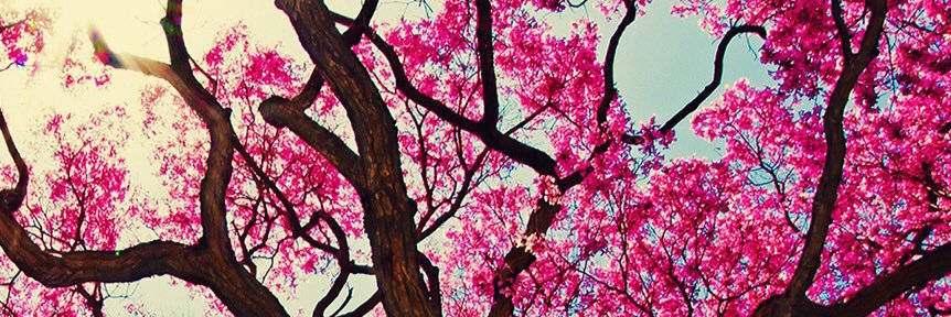 KayParhamm's profile banner image