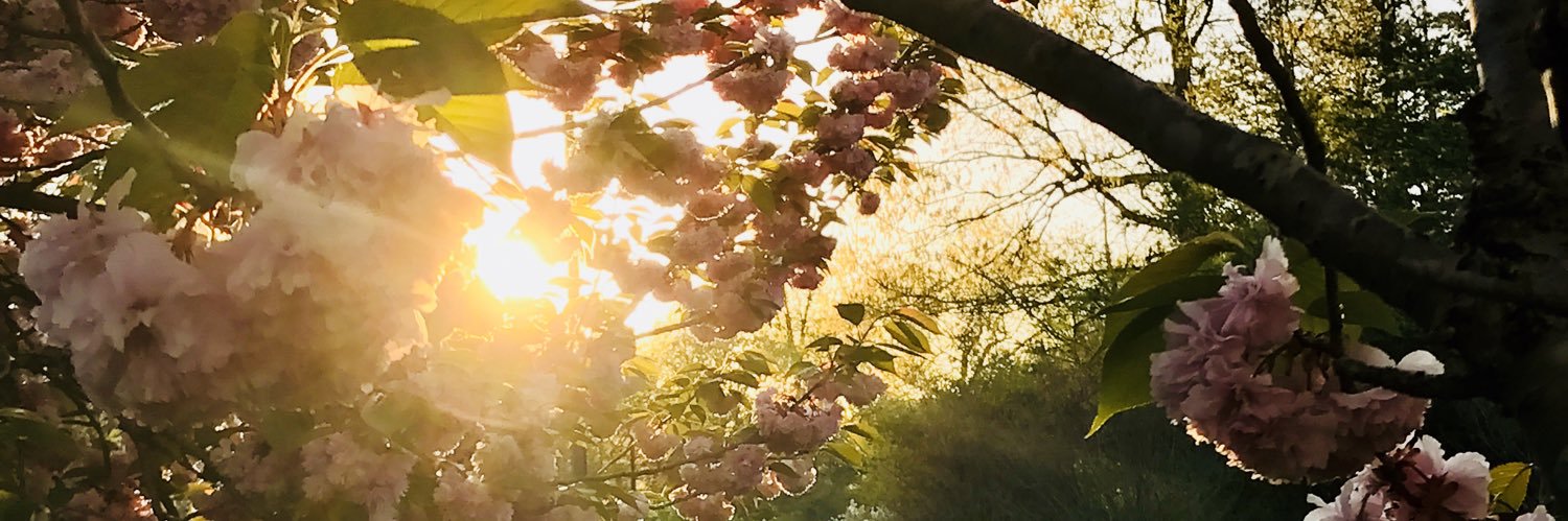 Shavonloves's profile banner image