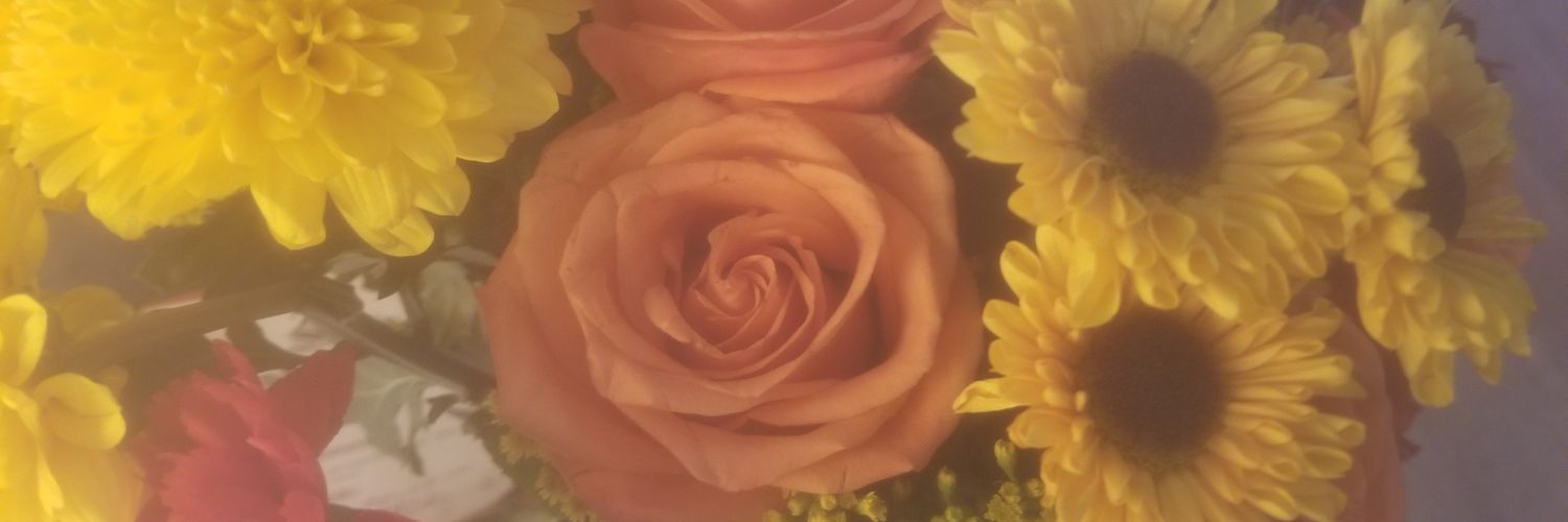 loriw62's profile banner image