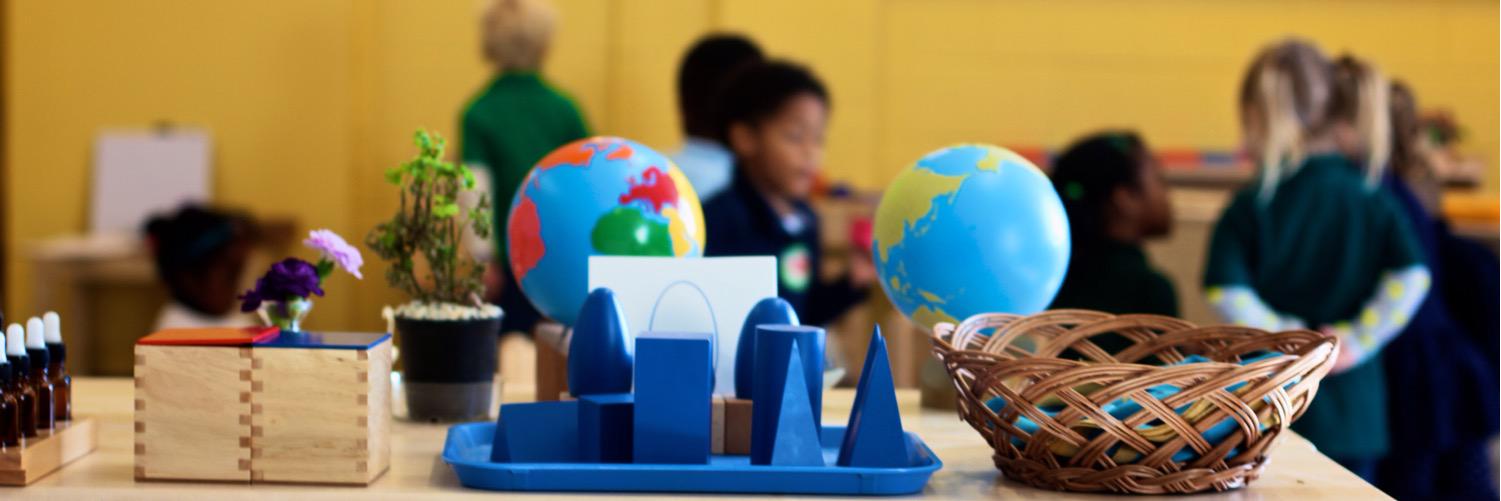 Lee Montessori Board banner