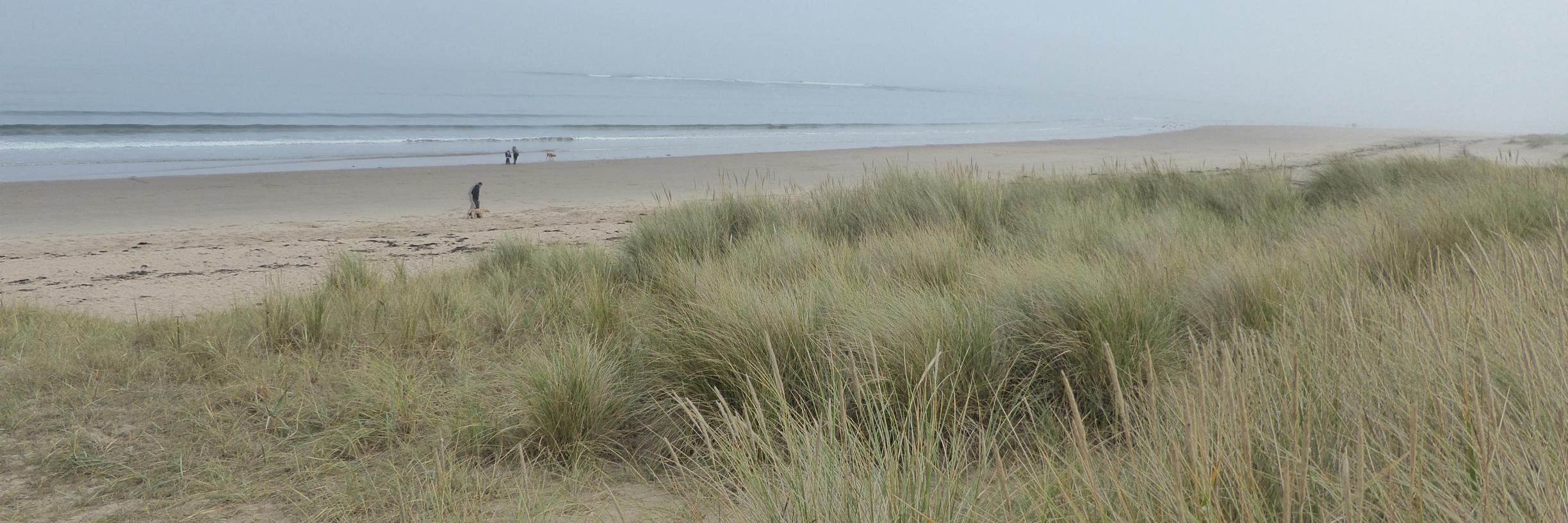 Bev Wakeford-Brown banner