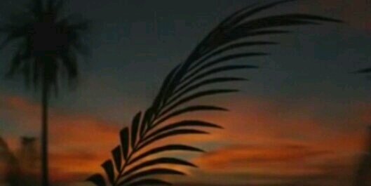 saadrafa1's profile banner image