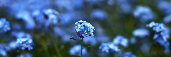 farahkaifa Profile Banner