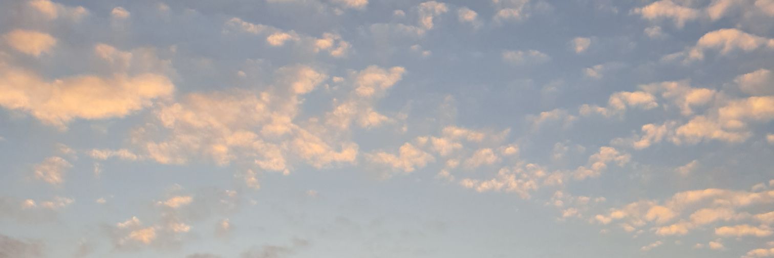 mgocben's profile banner image