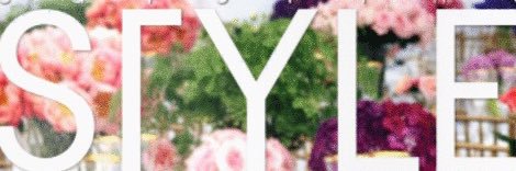 Carolina STYLE Magazine banner