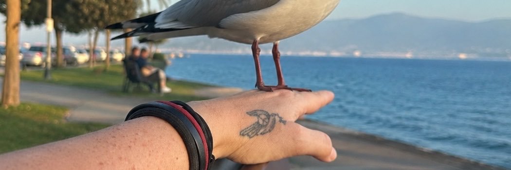 GunesYesim's profile banner image