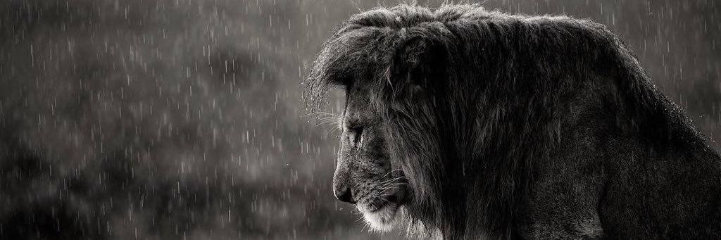 The_J_Zone's profile banner image