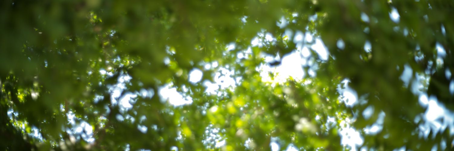 _o2_o8's profile banner image