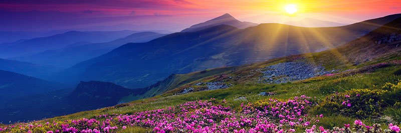 BertanRona's profile banner image