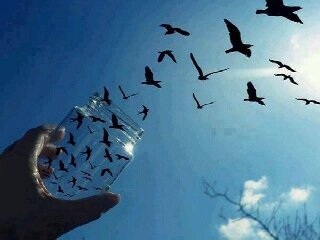 ayesha_moolaa's profile banner image