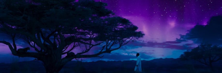 scottibrown's profile banner image