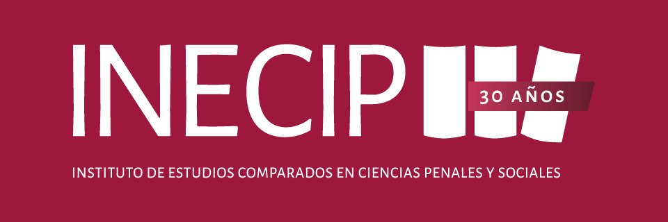 INECIP banner