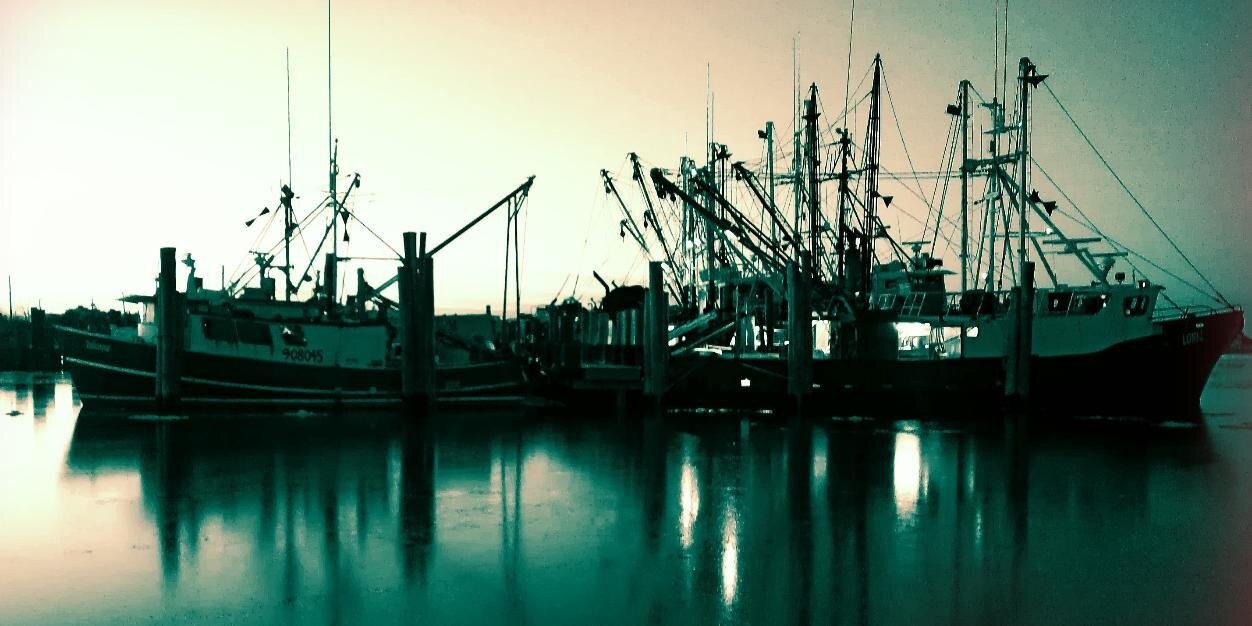 Gregory DiDomenico banner