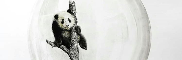 TKaynakkan's profile banner image