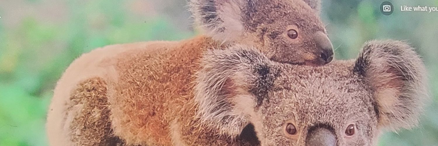 AydenMommy2017's profile banner image