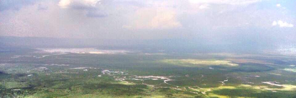 Dr. Nel Wieman banner