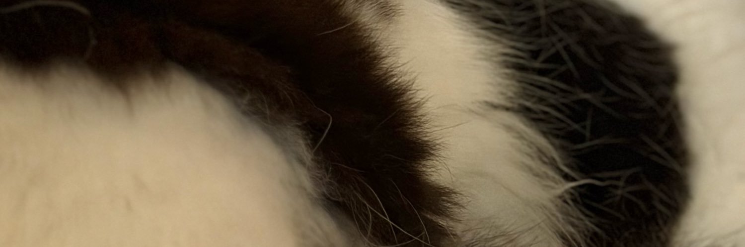 llamsah's profile banner image