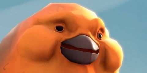 Fimosis's profile banner image