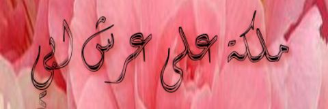 mohamdkhlel's profile banner image
