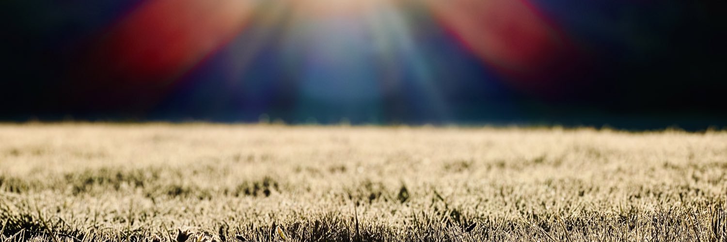 Sergio C. Muñoz 🥑 banner