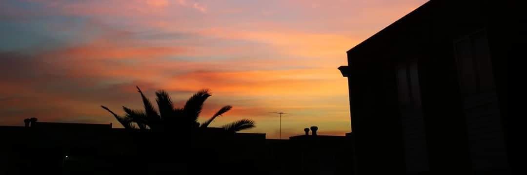 Denisse Moris banner