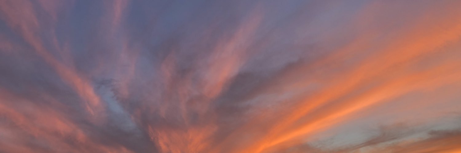 mgntmpkns's profile banner image