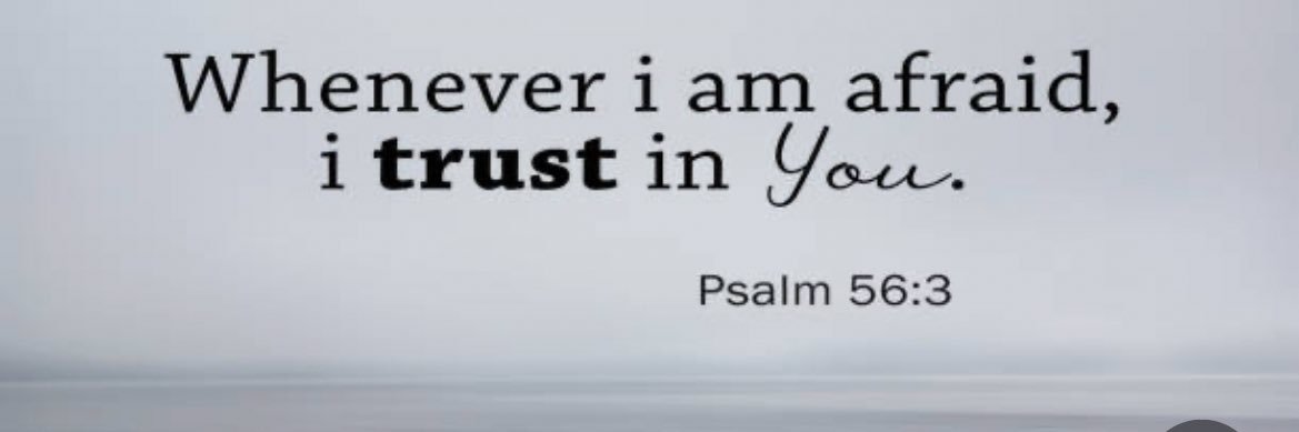 rackssssoutttttBOWLEG banner