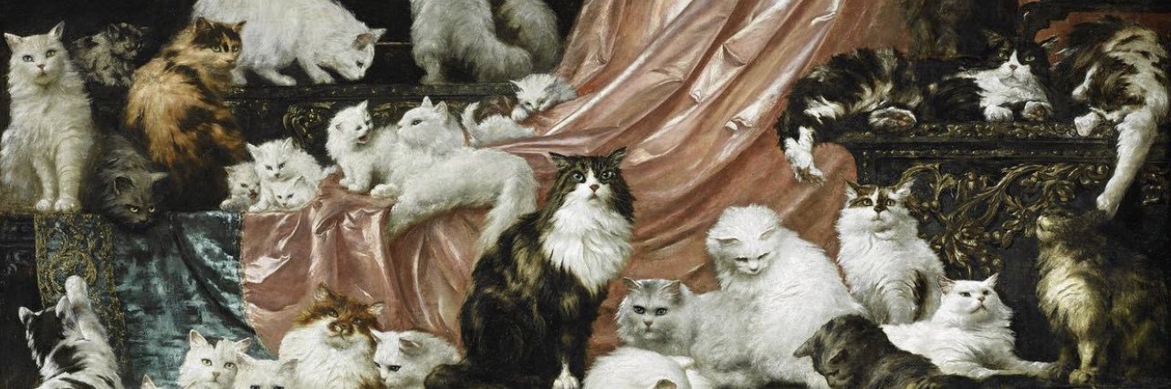 ʍҽʍɑ 🪴 banner