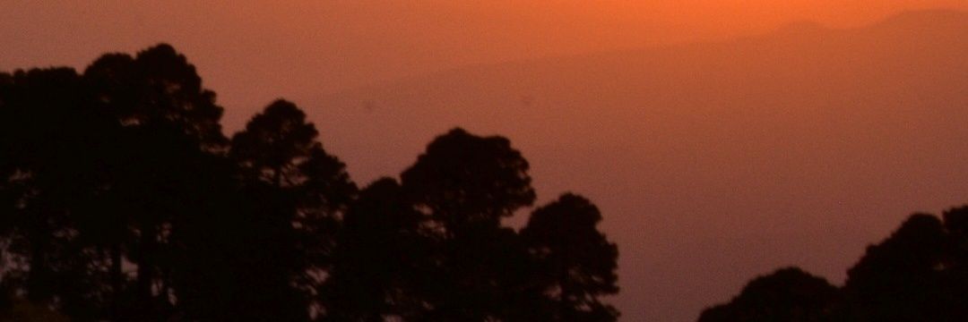 Gabo_Polito's profile banner image