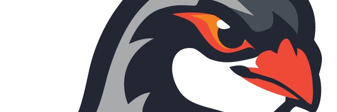 Steven Payson banner