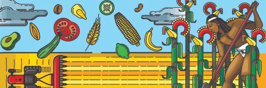 Alimentación Sostenible UNAM banner