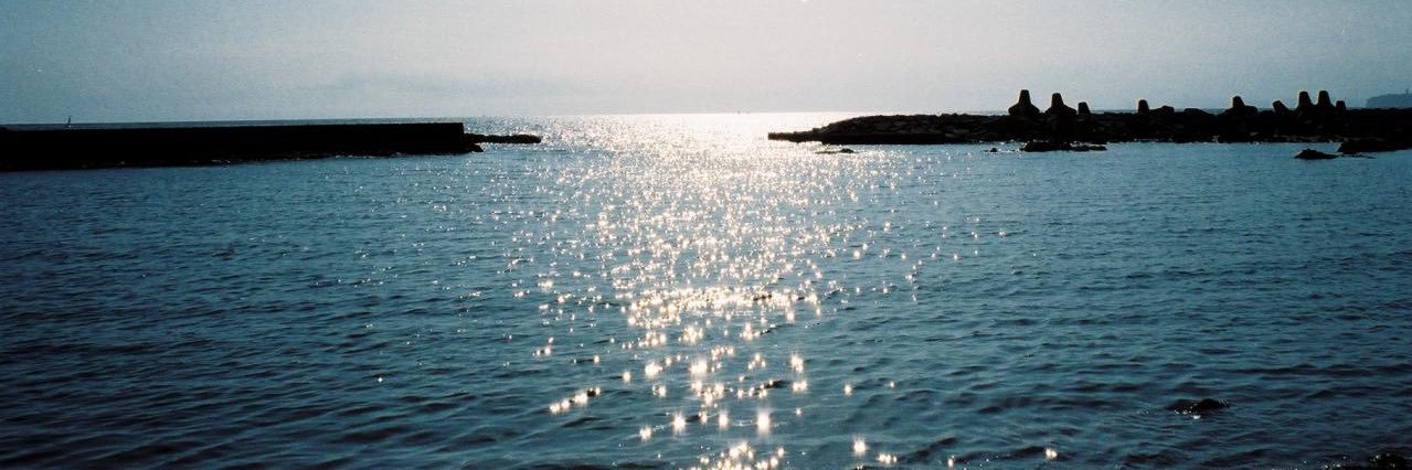 わたなべ だいすけ D.W.ニコルズ banner