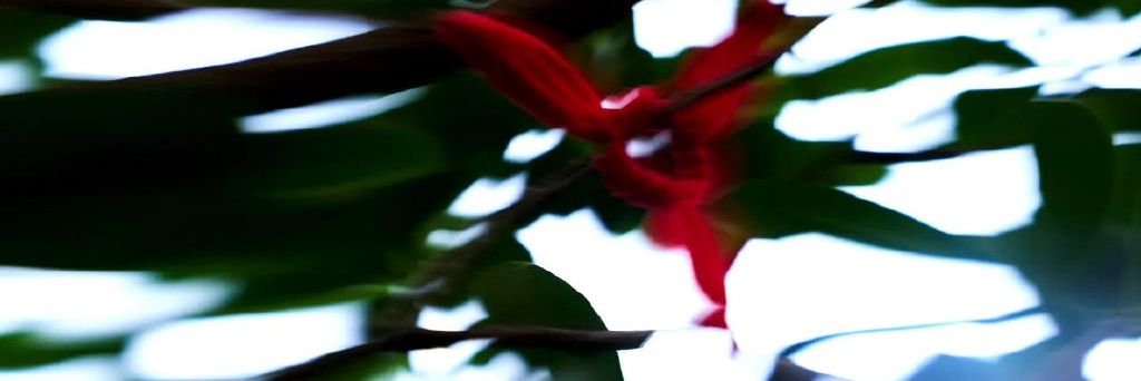 S_XZ1005's profile banner image