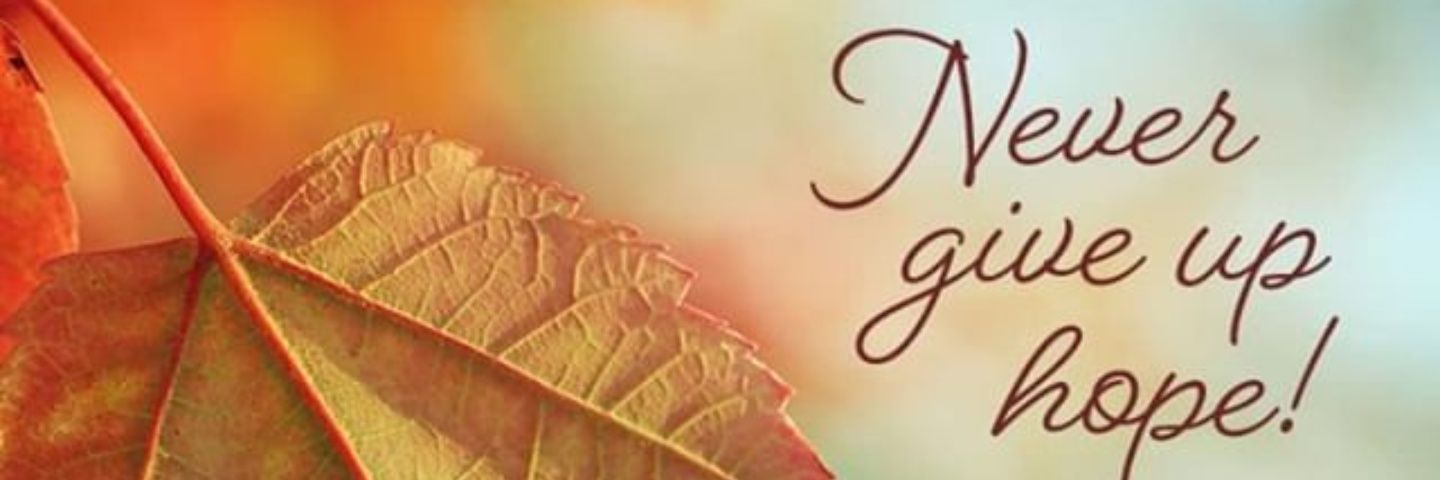 Jarin M. Fenner banner