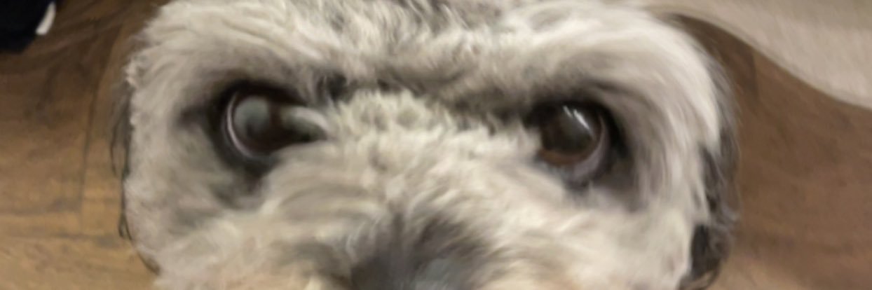 reece__black's profile banner image