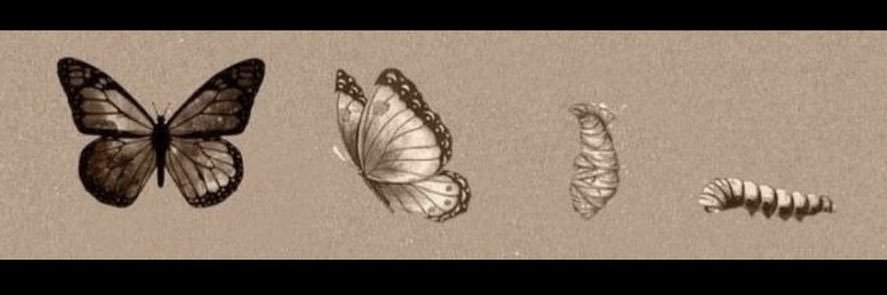 seydatalar's profile banner image