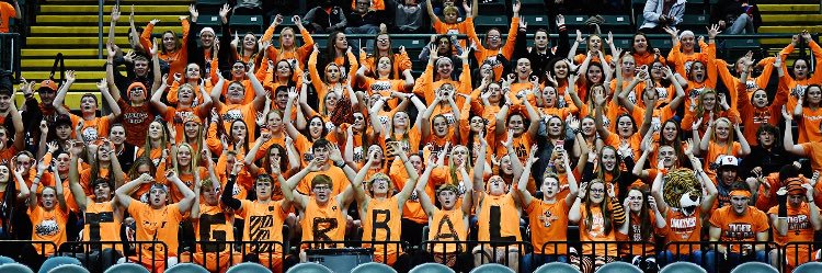 VHS Student Section banner