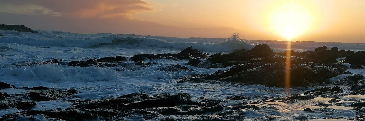 Emma Ferguson banner