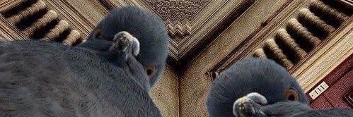 ReHamAmin21's profile banner image