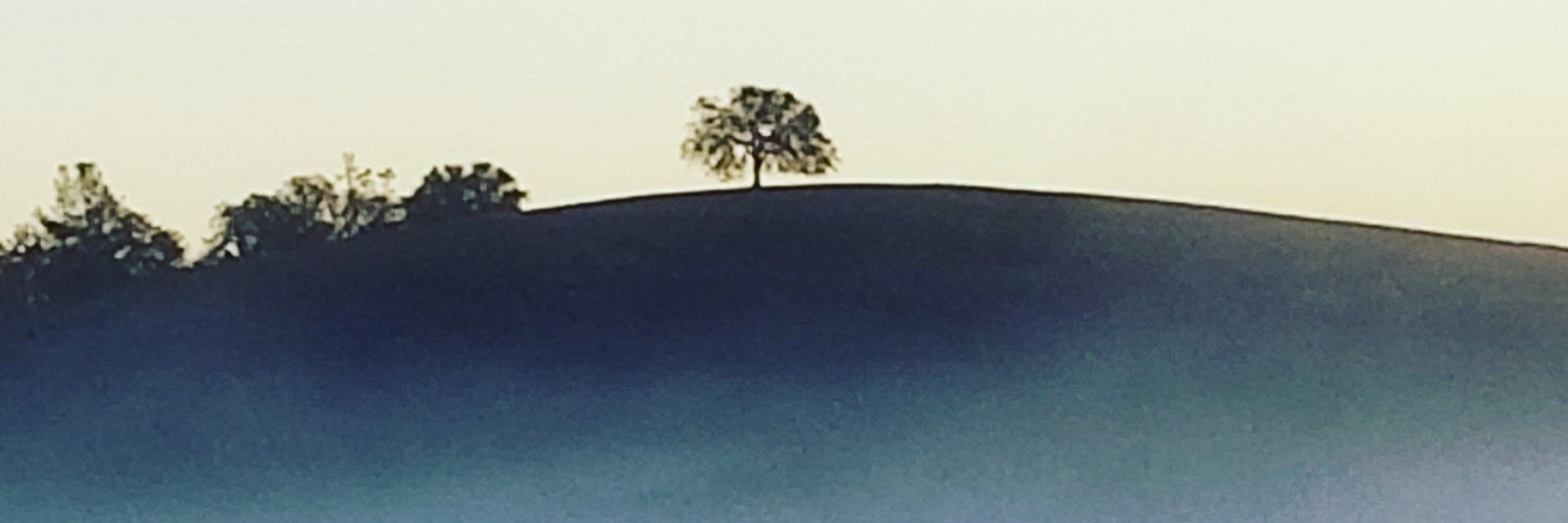 Kathy's banner