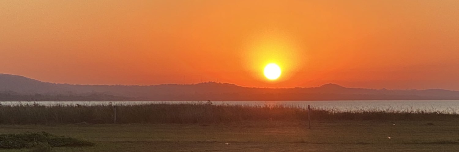 pelijac's profile banner image