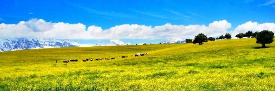 DzTourism's profile banner image