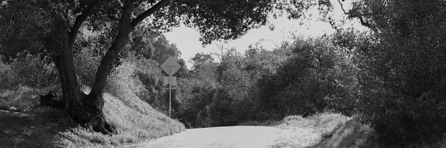 Darcelle_JW's profile banner image